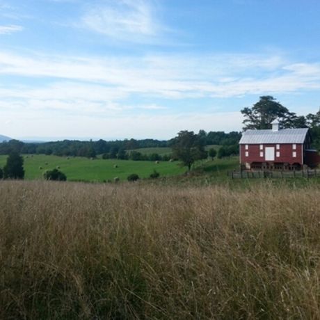 5549c6120ae920f6b2046fa7640e0124