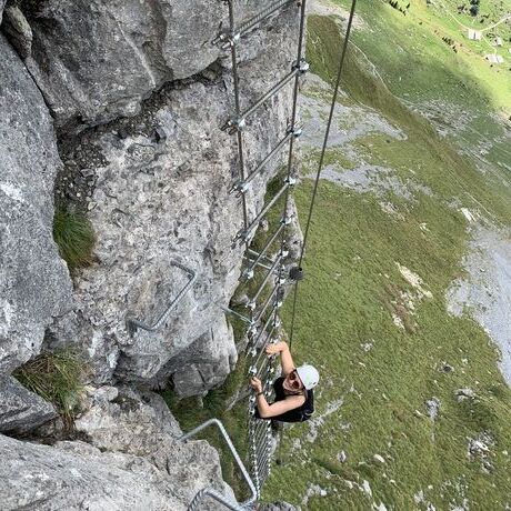 Ee0d594b f2ad 466c 85b3 edb101ff3894