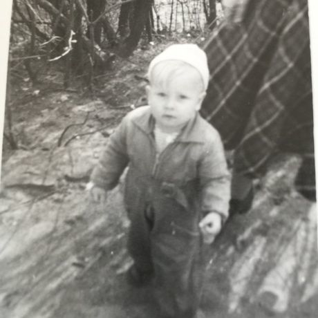 Dan 1951
