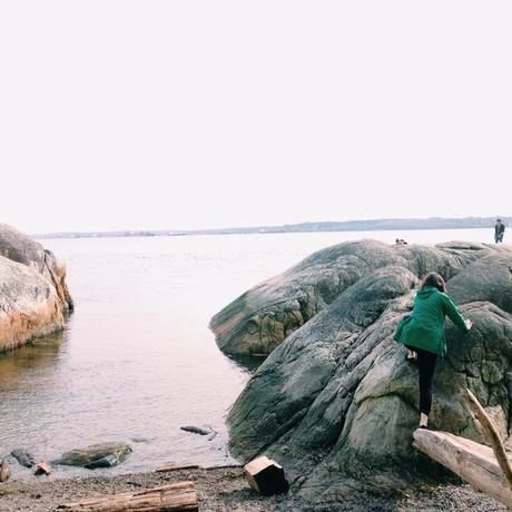 14333009 10155322875686110 2449511779841580926 n