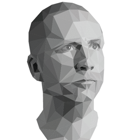 Stefan low poly