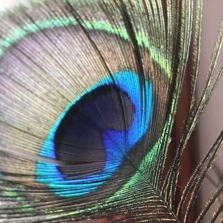 79931483 bd4b 43a0 8698 60a5e79dcc99