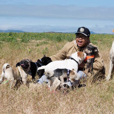 19620973 10209389069792804 7226722810844147182 o