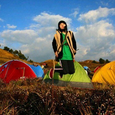 49830d44c68073ca34872e8ad2fb3488