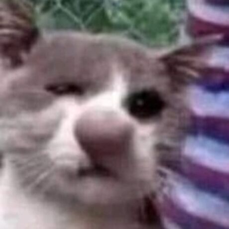 Screenshot 2023 09 18 20 15 39 892 edit com.whatsapp