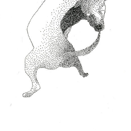 Cane