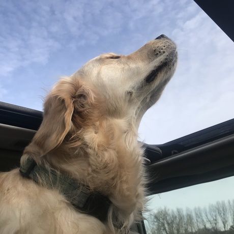 Db4da174 abf0 4521 bae8 760e472b09f7