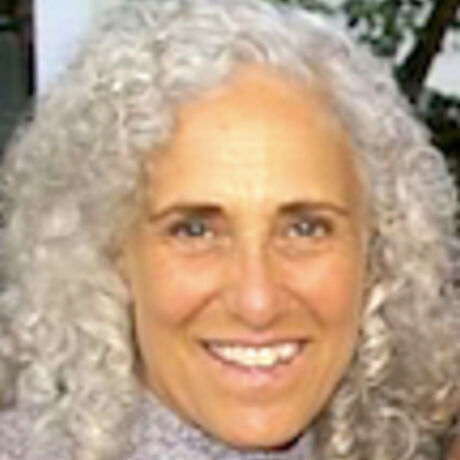 Profile head shot copy