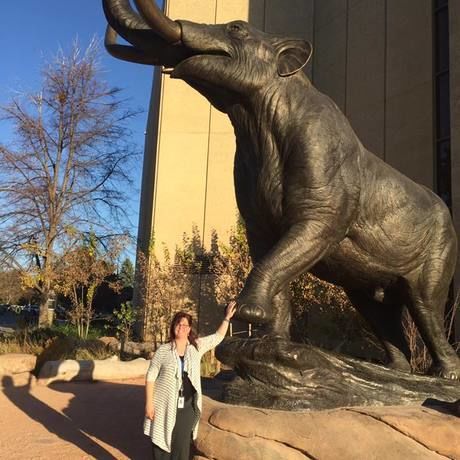 14980834 10154283364304775 4421941523263194611 n