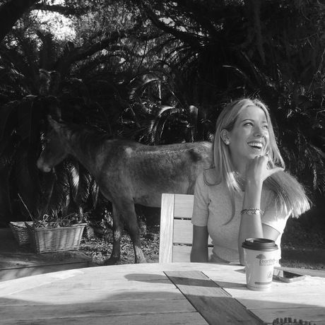 39f00afd 6d58 46fd b9f6 056473a8e980