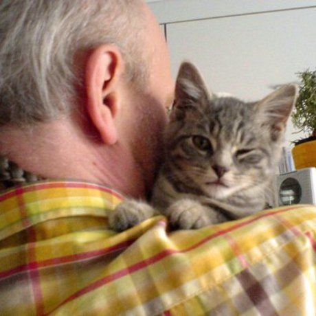 162715 1454462892421 3685646 n