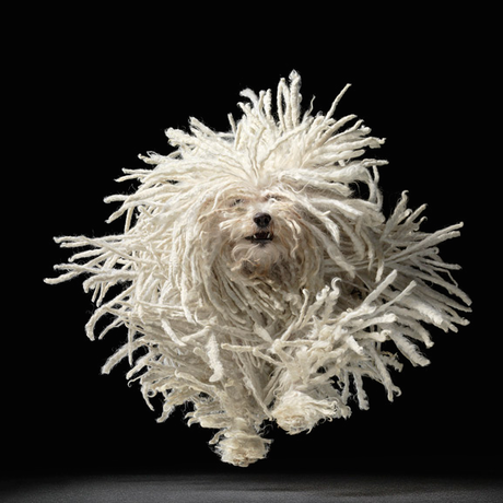 Screen shot 2014 06 23 at 11.12.23 am