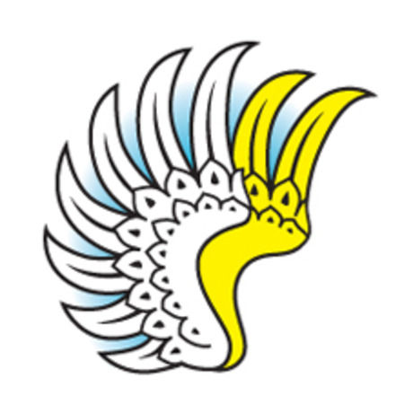 Wings space