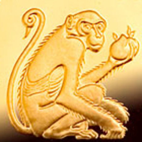 Goldenmonkey2