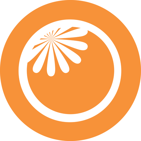 Avatar 800x800