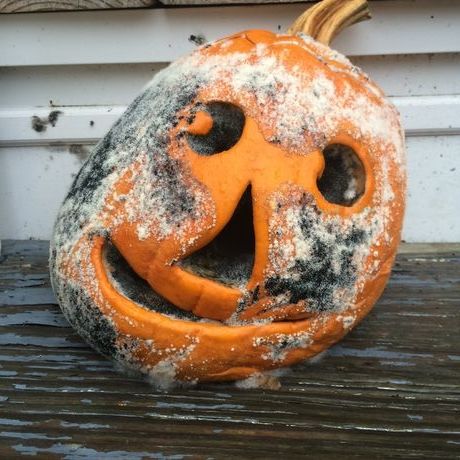 6e8014f0 c337 4c7d 8a39 f2eb6d225607