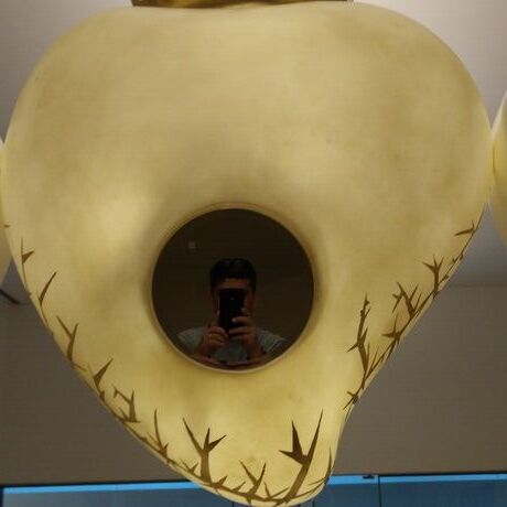 Img 20171023 170547248