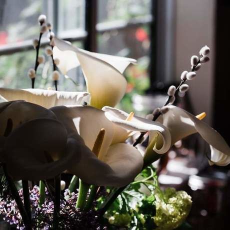 Fb img 1586906766086