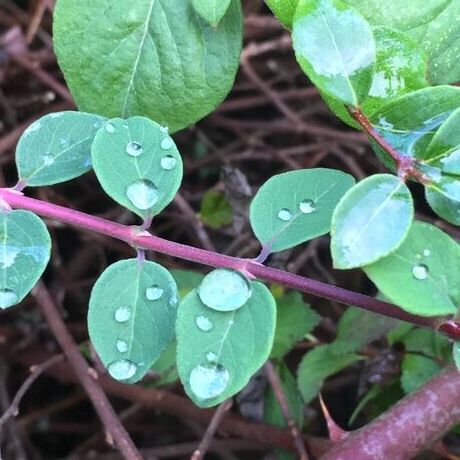 B349282f e63a 4b5a a464 6373115702ab