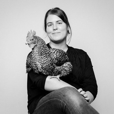 12719134 10153309888621607 151632448844780740 o