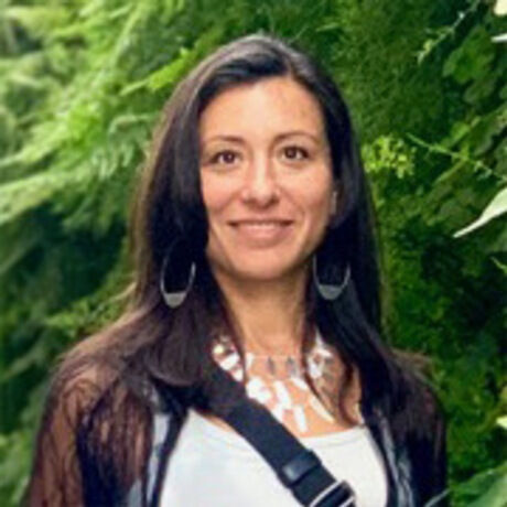 5e8c75ee 4ff1 4f84 86af 440ee98e85a1