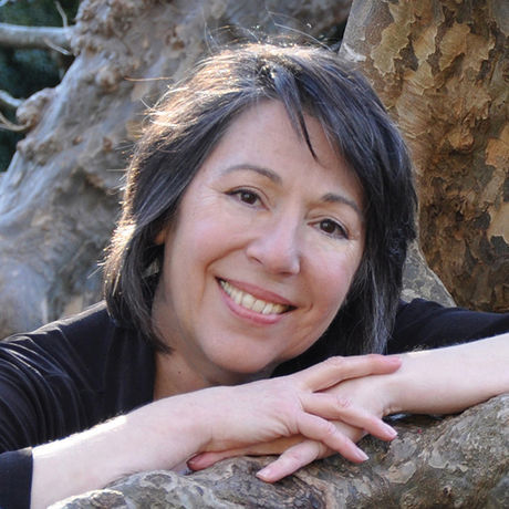 Donna marie todd web