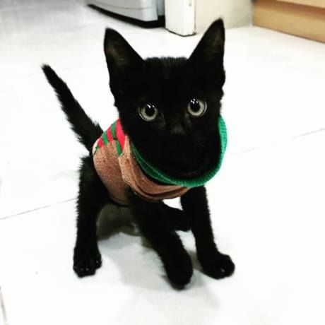 15621735 10206413401973876 7575726994246989773 n