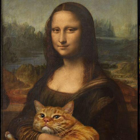 18509720261 e511dea0c6cad66b86d3 512