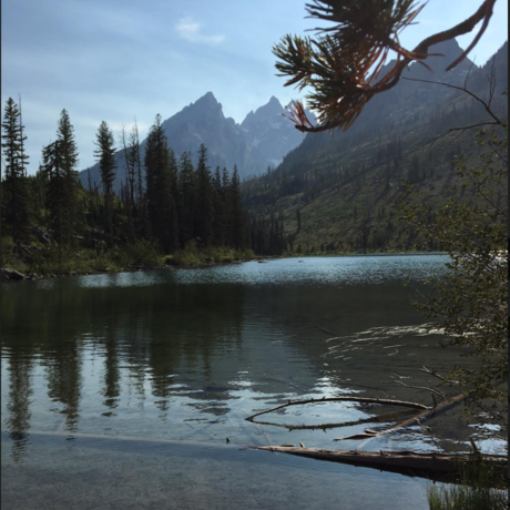 Screen shot 2017 09 01 at 9.15.27 am