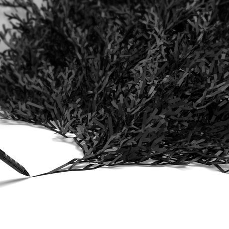 Turjuque growing 1920x1080 wallpaper308915