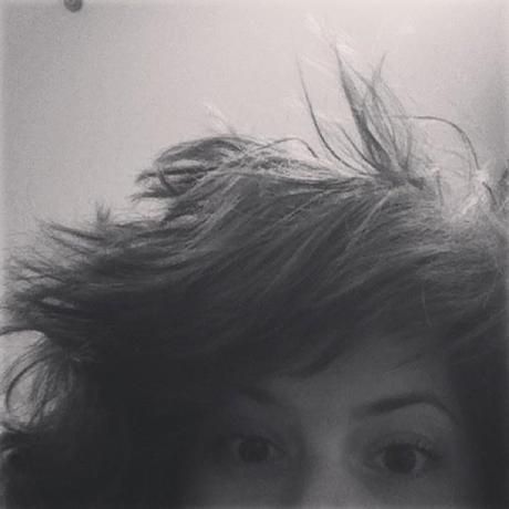 484292 10152631265165311 1137615562 n