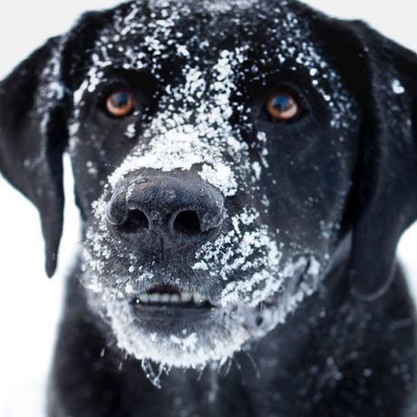 15275583 569849273224447 436457123535126528 n