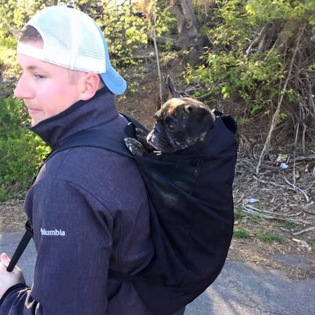 12963507 10100900525413502 133456708528118810 n