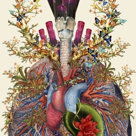 Bd2bf7661b8c2ad43e1ca2480daa505d