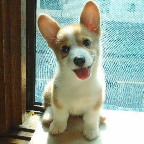 419652 381230191904908 100000537907360 1463313 789113691 n