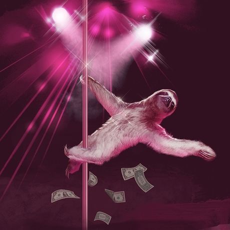 Strippersloth