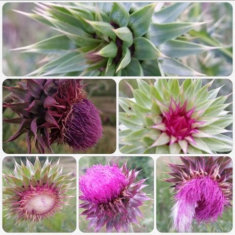 2016 pictures from phone 330