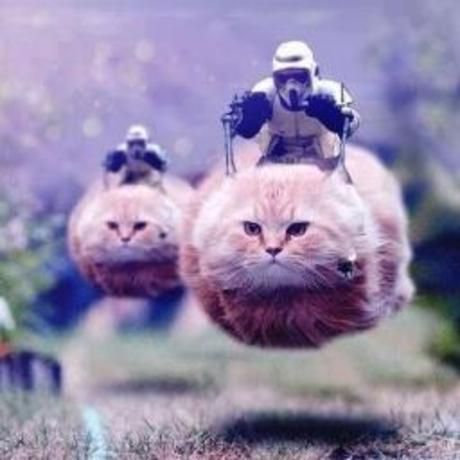 F00b4d69af6891ee216c1da379b4149b