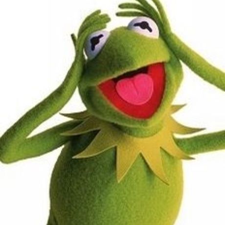 Kermit the frog