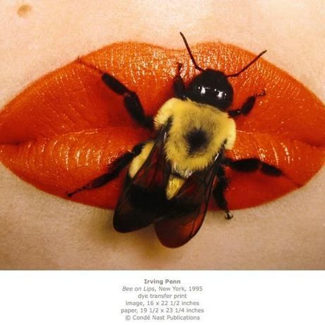 970366 10151864955289417 430942988 n