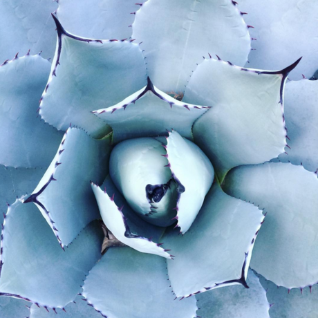 Screen shot 2017 05 25 at 10.35.56 am