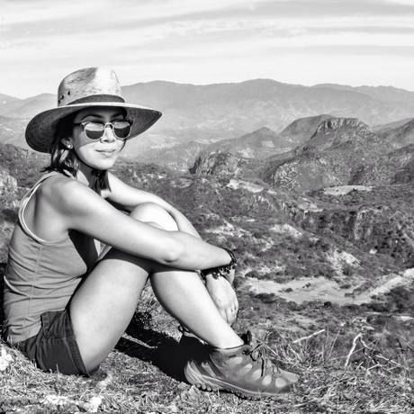 2042 1130978126919895 8255375900269036074 n