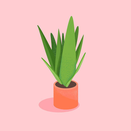 B2848635877303.5746631c9c335