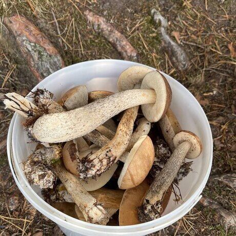 Photo 2023 08 05 14.42.14