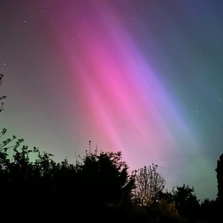 12abdcb2 08a8 4c5c 874e a39f411d8548