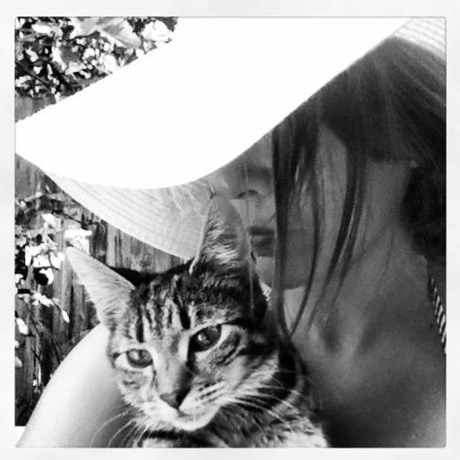 Screen shot 2017 06 27 at 3.51.46 pm