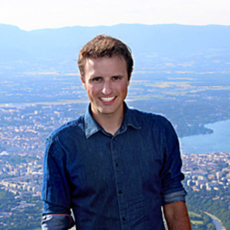 Romain rubin portrait