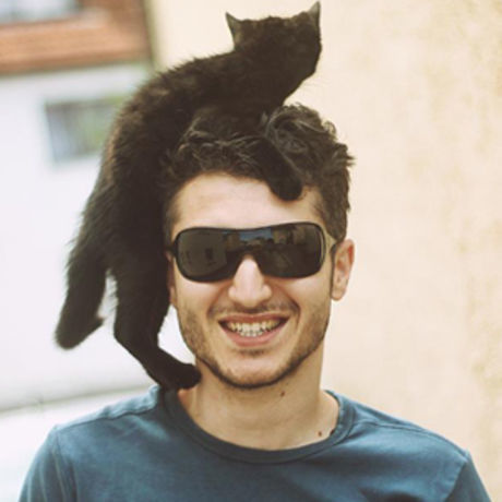 Poza lu laur