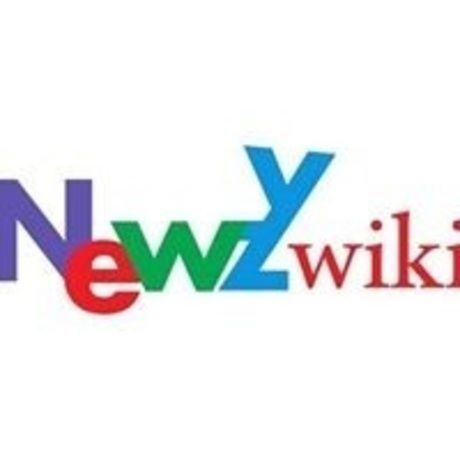 Newzy wiki logo