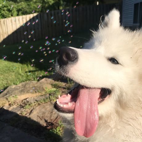 062c4669 0226 47ca 9923 68b18a7aed8b